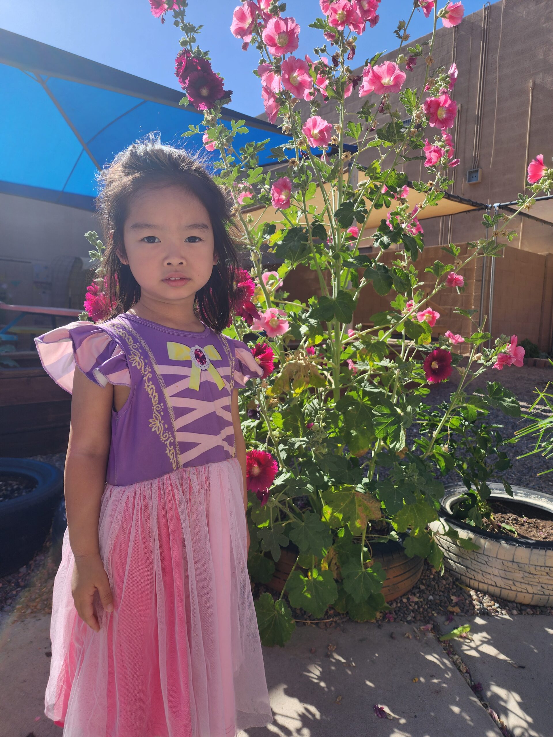 Mandarin and Spanish Immersion | Contact