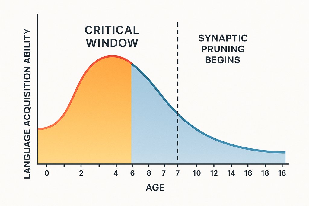 Mandarin and Spanish Immersion | The Biological Imperative: Why the First 2,000 Days Define Your Child's Linguistic Future