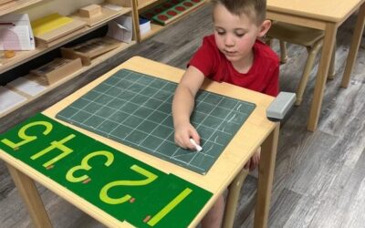 Mandarin and Spanish Immersion | At What Age Do Kids Go to Preschool?