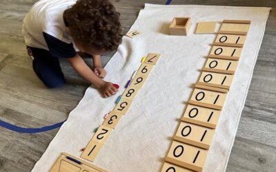 Mandarin and Spanish Immersion | How Beibei Amigos Solves the Bilingual Teacher Shortage Mandarin and Spanish Immersion | How Beibei Amigos Solves the Bilingual Teacher Shortage